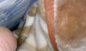 Cazzo di mature e porche due fratelli video porno