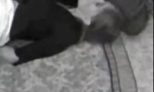È brutto e stupido, 50enni porche ma fammi correre dentro.